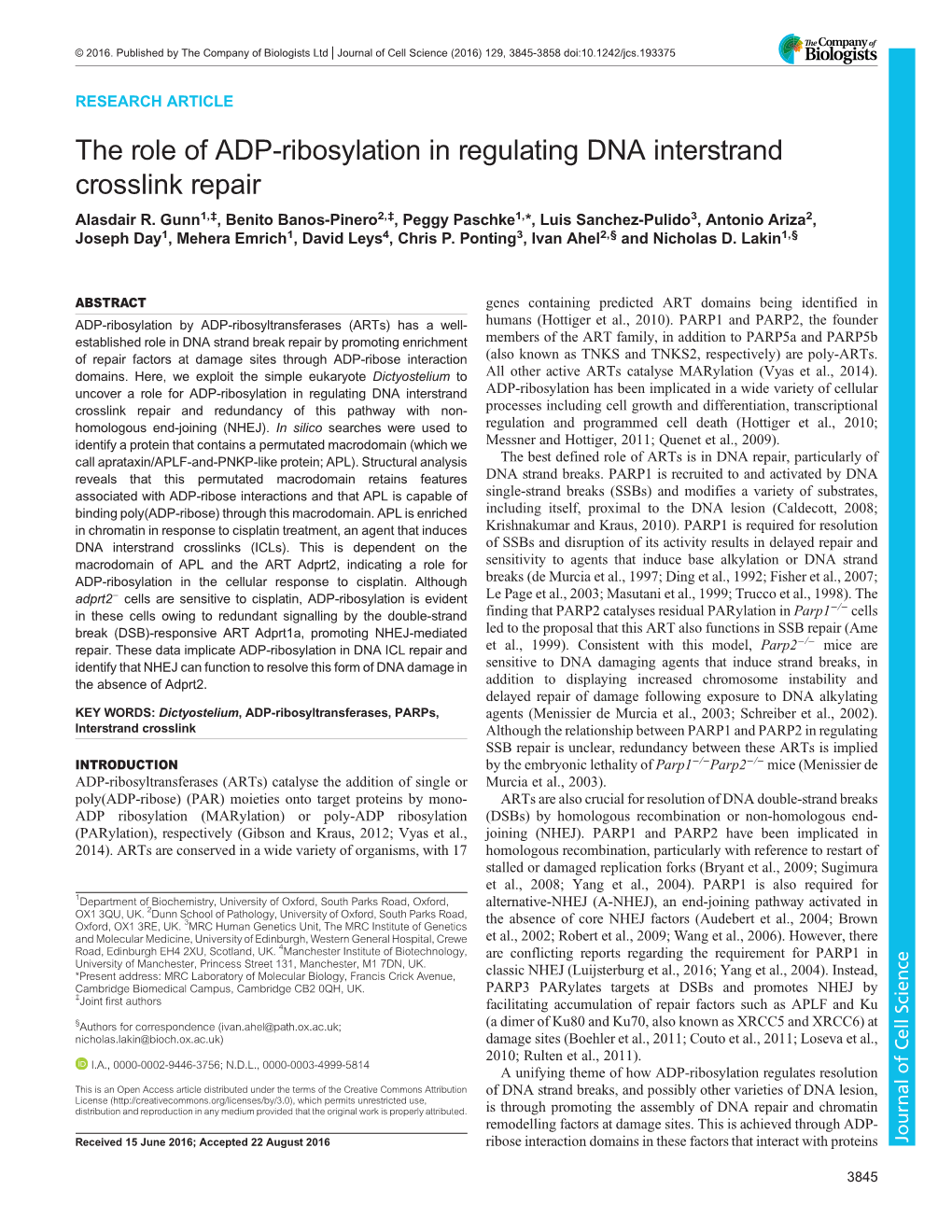 The Role of ADP-Ribosylation in Regulating DNA Interstrand Crosslink Repair Alasdair R