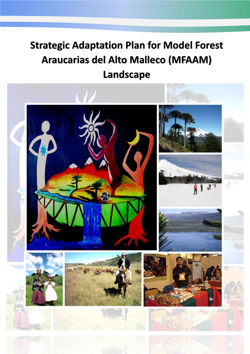 Strategic Adaptation Plan for Model Forest Araucarias Del Alto Malleco (MFAAM)