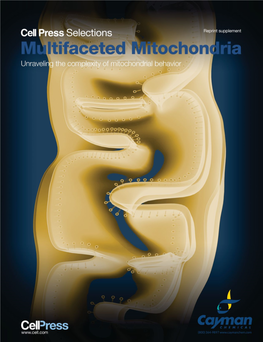 Mitochondrial Quality Control