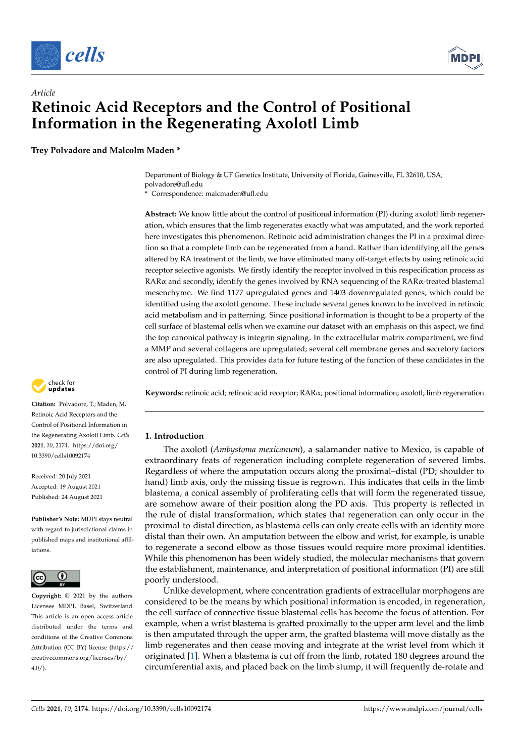 Retinoic Acid Receptors and the Control of Positional Information in the Regenerating Axolotl Limb