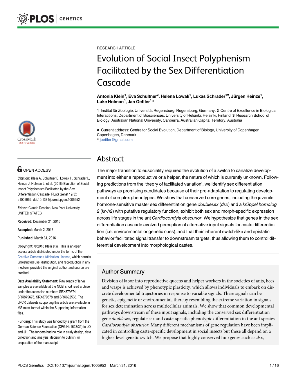 Evolution of Social Insect Polyphenism Facilitated by the Sex Differentiation Cascade