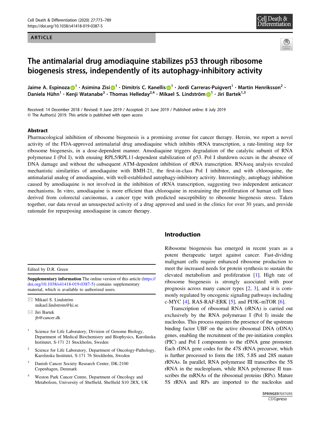 The Antimalarial Drug Amodiaquine Stabilizes P53 Through Ribosome Biogenesis Stress, Independently of Its Autophagy-Inhibitory Activity