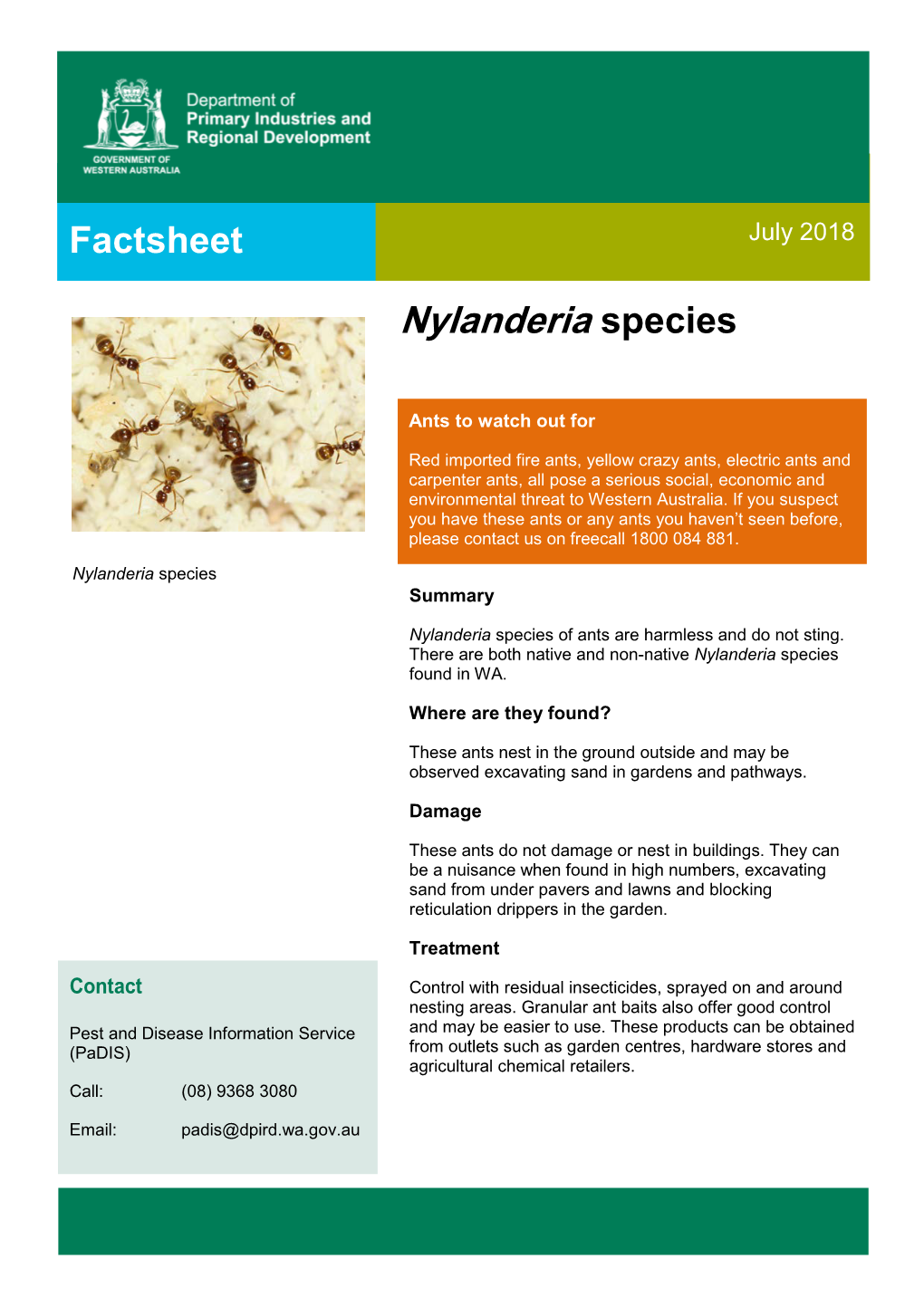 Nylanderia Species