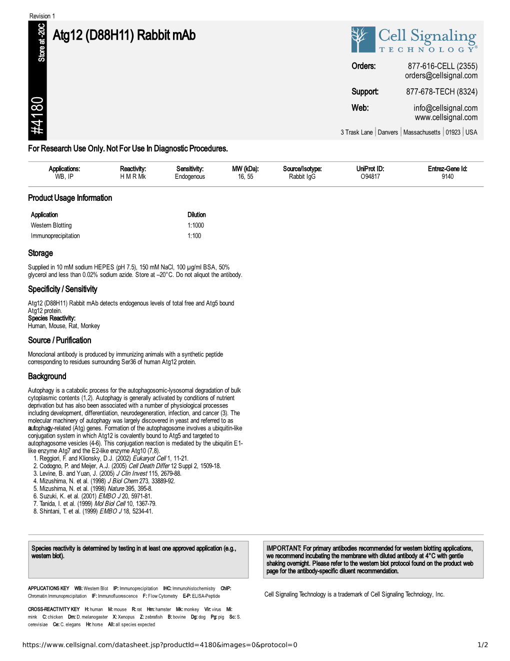 Atg12 (D88H11) Rabbit Mab A