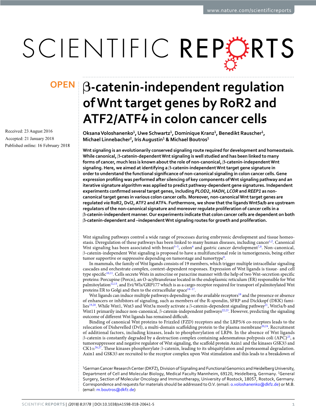 Β-Catenin-Independent Regulation of Wnt Target Genes by Ror2 And