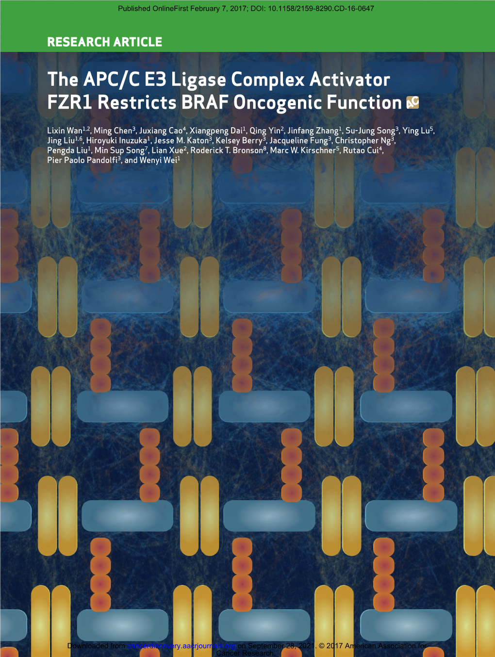 The APC/C E3 Ligase Complex Activator FZR1 Restricts BRAF Oncogenic Function