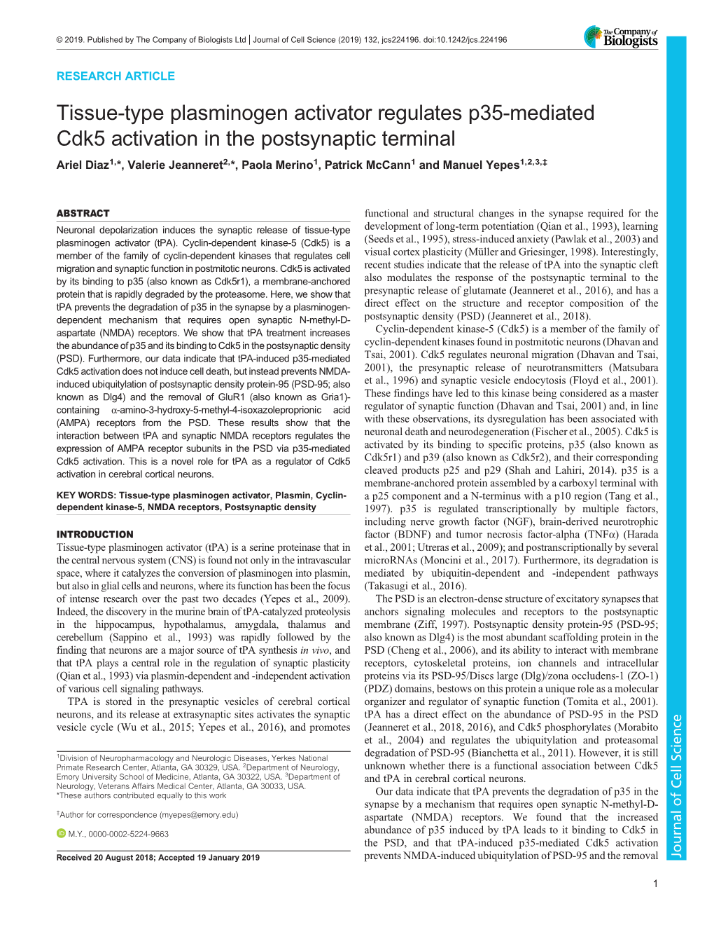 Tissue-Type Plasminogen Activator Regulates P35-Mediated Cdk5