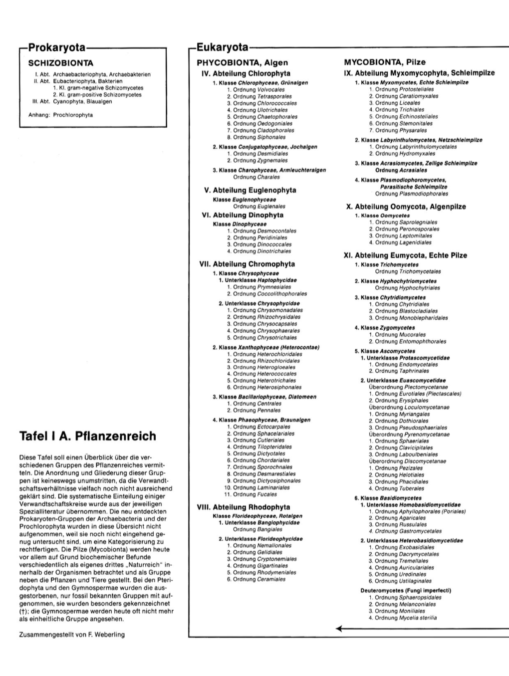 Tafel I A. Pflanzenreich Eukaryota