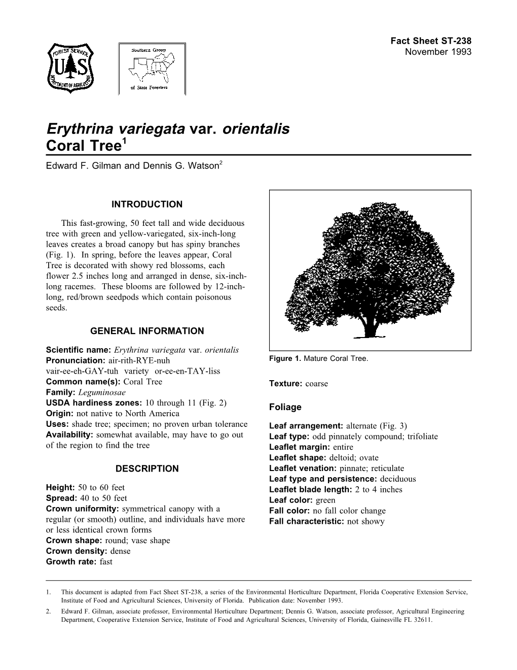Erythrina Variegata Var. Orientalis Coral Tree1 Edward F