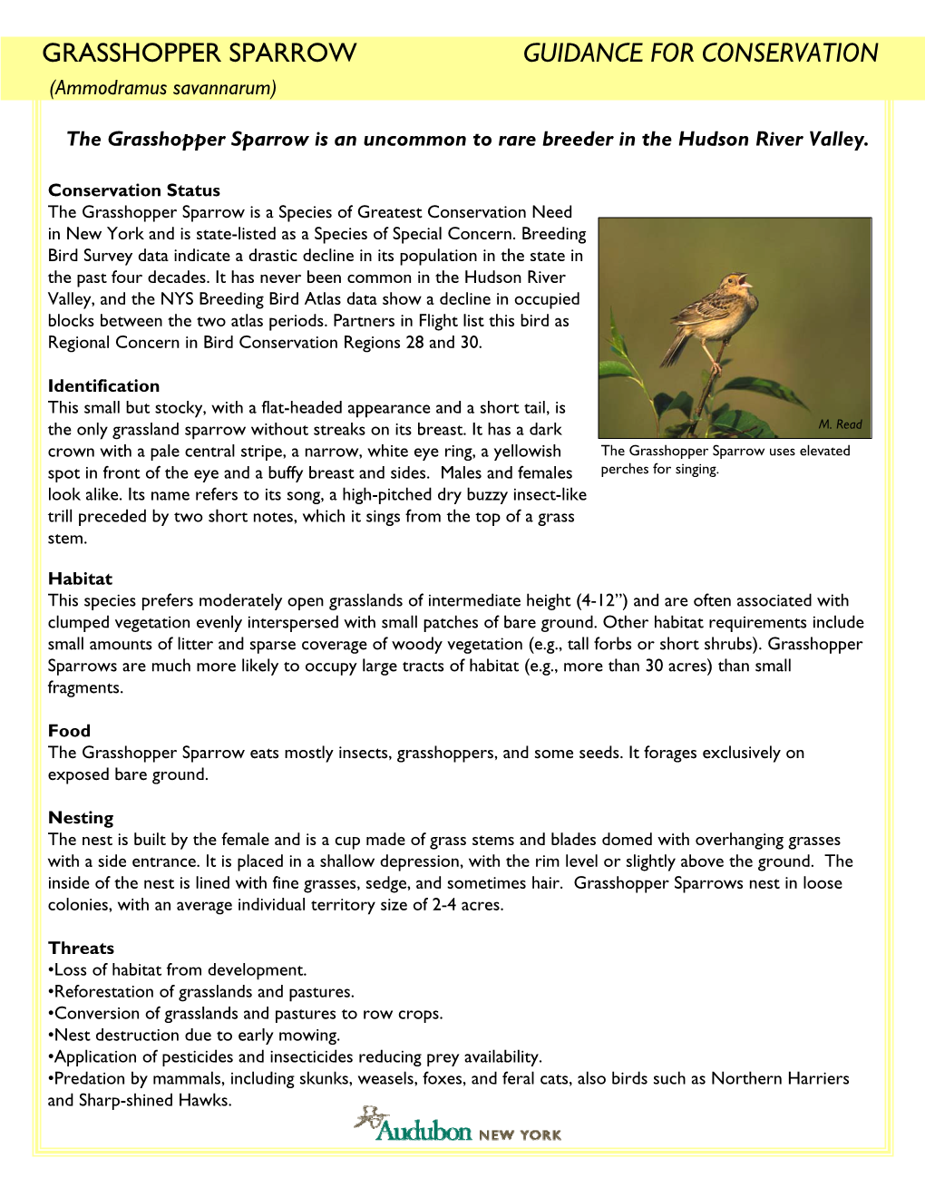 GRASSHOPPER SPARROW GUIDANCE for CONSERVATION (Ammodramus Savannarum)