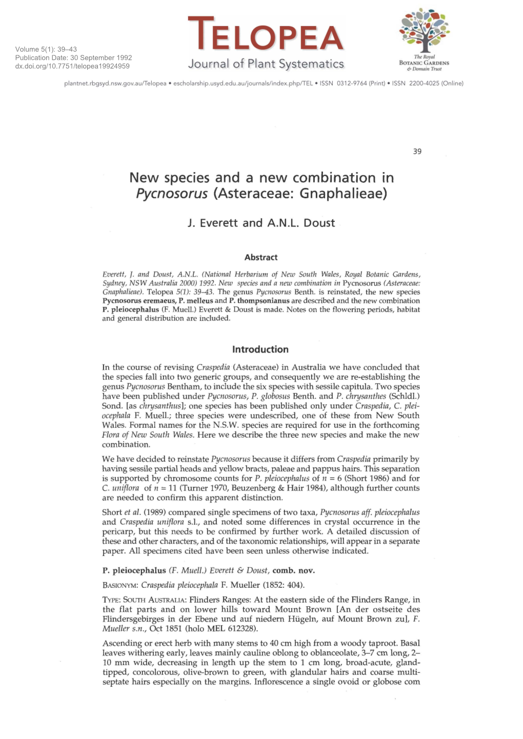 New Species and a New Combination in Pycnosorus (Asteraceae: Gnaphalieae)