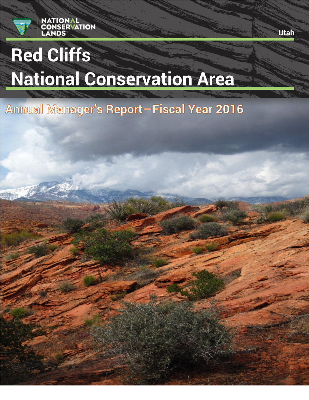 Red Cliffs National Conservation Area