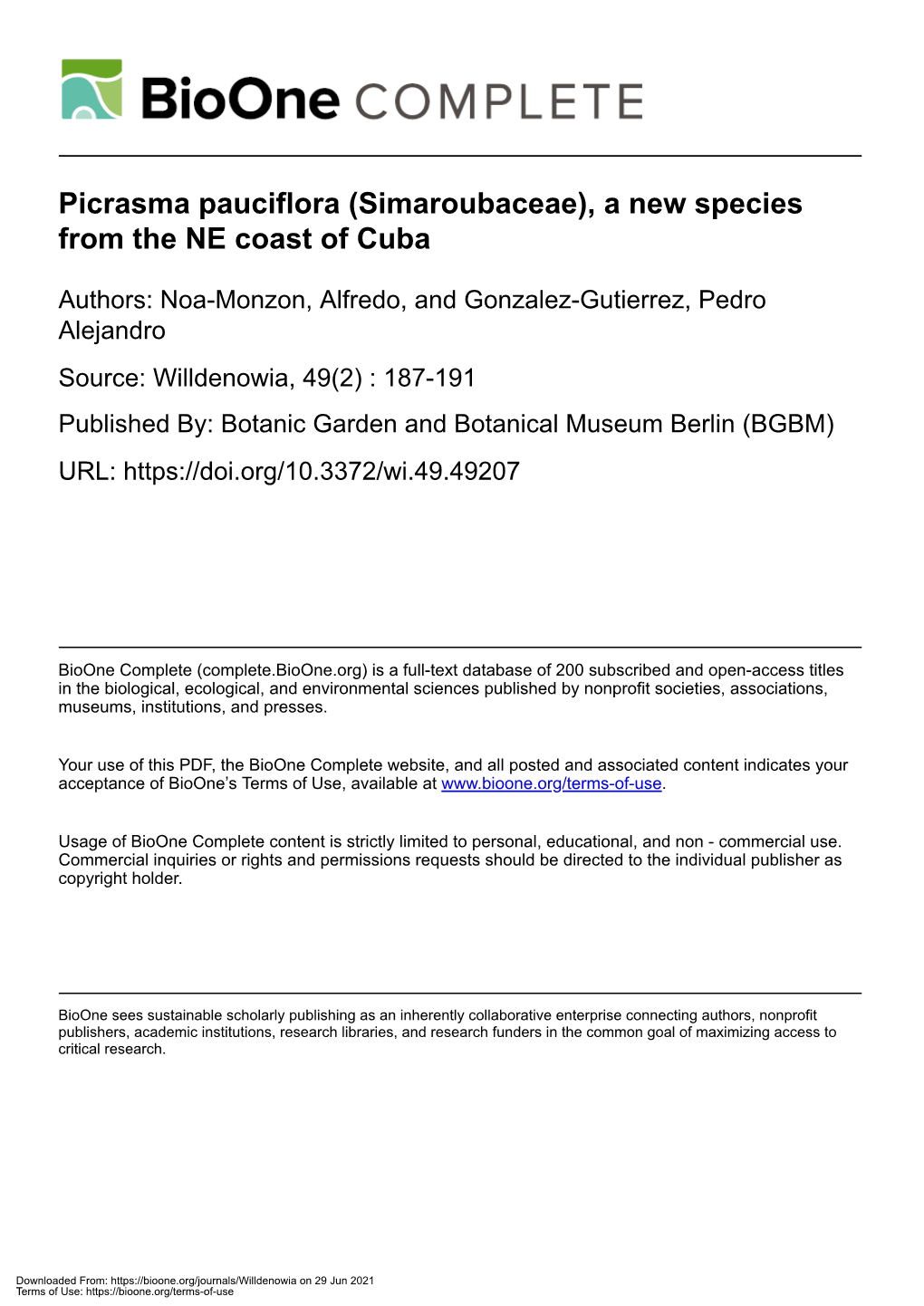 Picrasma Pauciflora (Simaroubaceae), a New Species from the NE Coast of Cuba