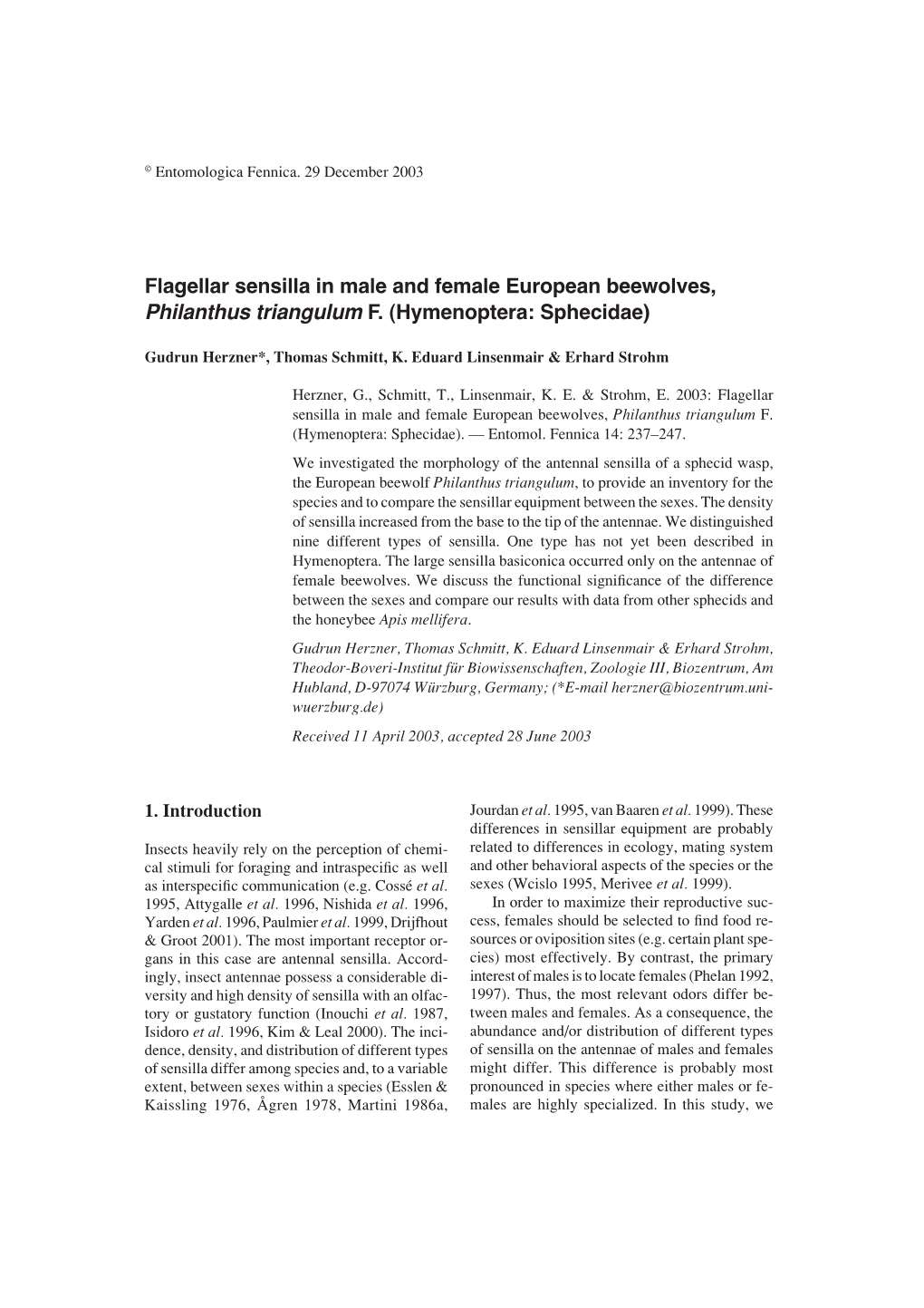 Flagellar Sensilla in Male and Female European Beewolves, Philanthus Triangulum F. (Hymenoptera: Sphecidae)