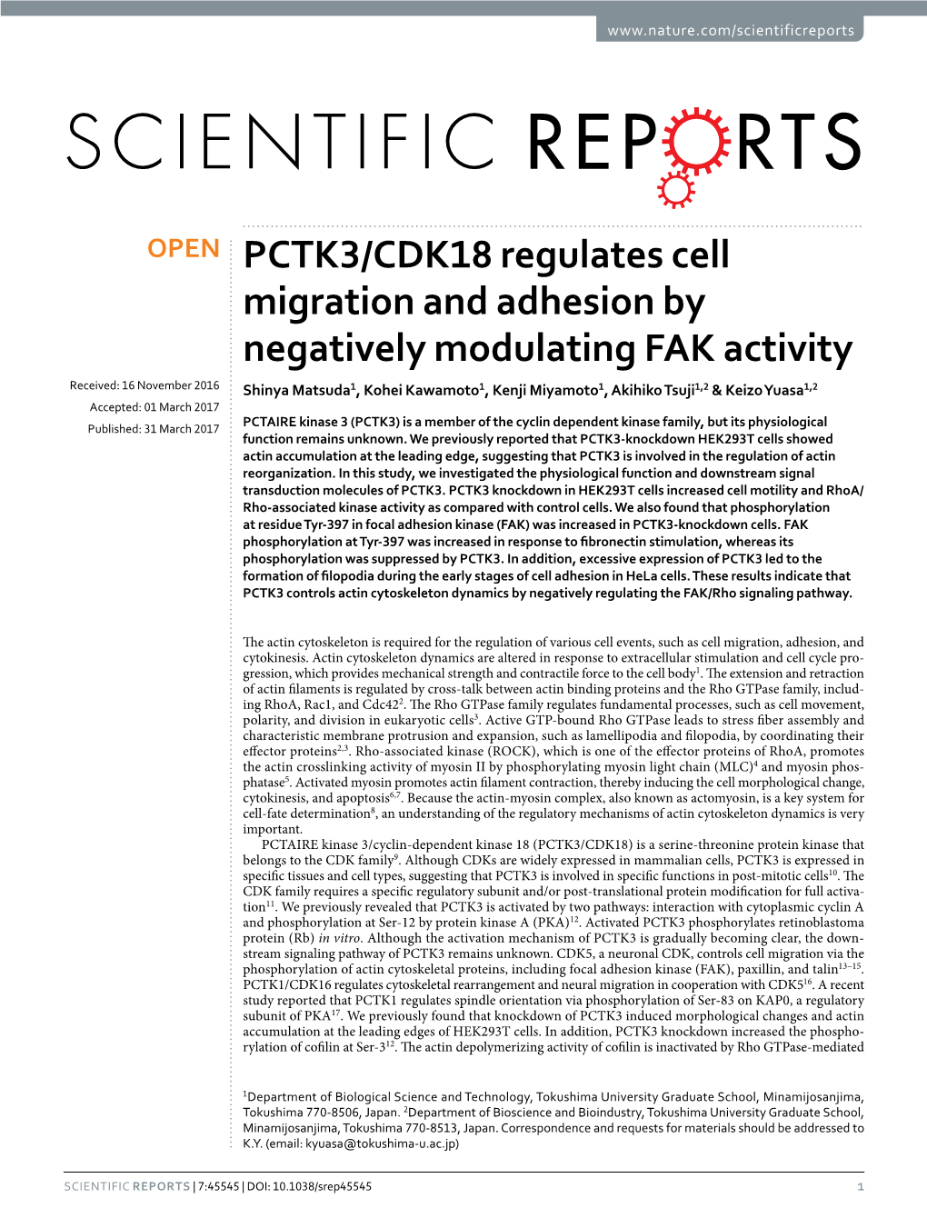 PCTK3/CDK18 Regulates Cell Migration and Adhesion By