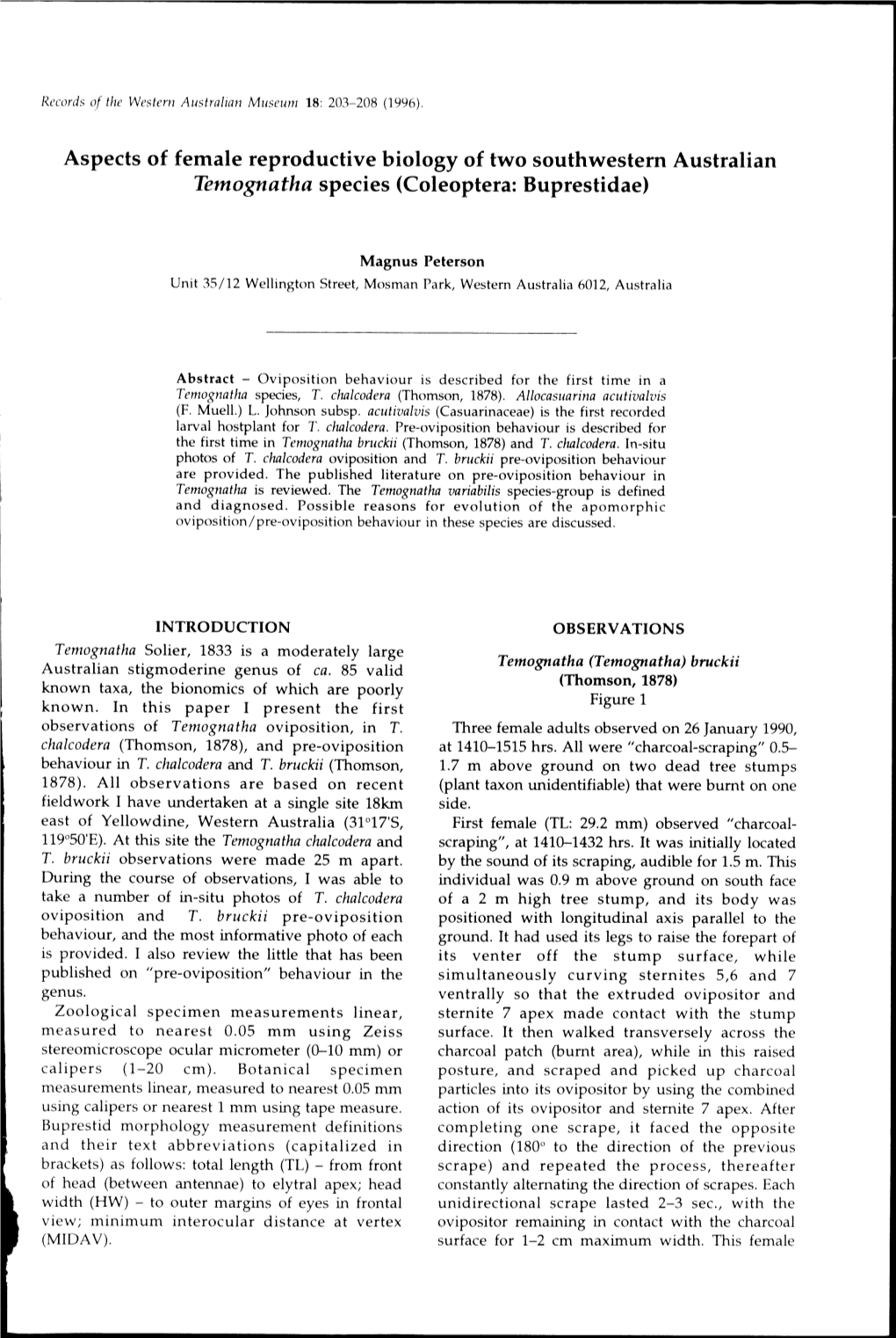 Aspects of Female Reproductive Biology of Two Southwestern Australian Temognatha Species (Coleoptera: Buprestidae)