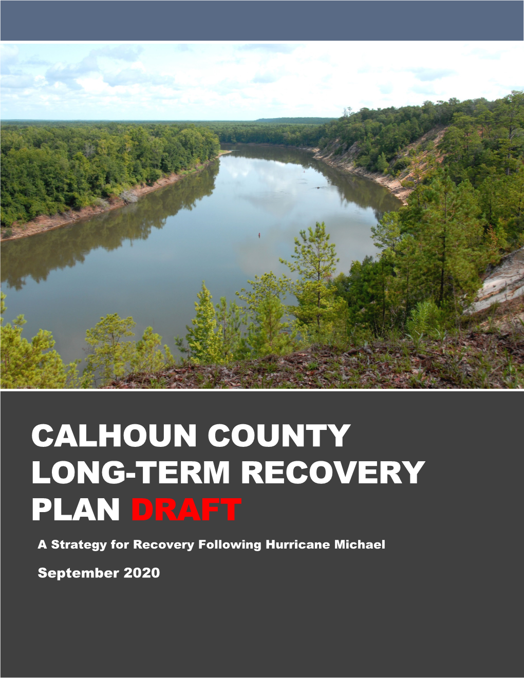 CALHOUN COUNTY LONG-TERM RECOVERY PLAN DRAFT a Strategy for Recovery Following Hurricane Michael