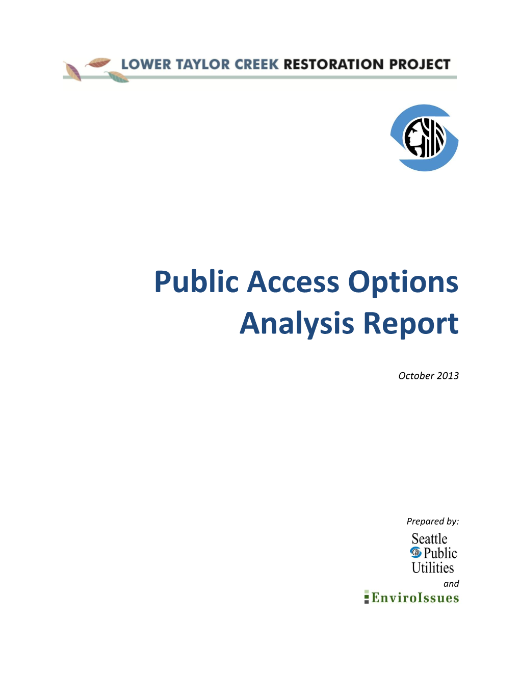 Public Access Options Analysis Report