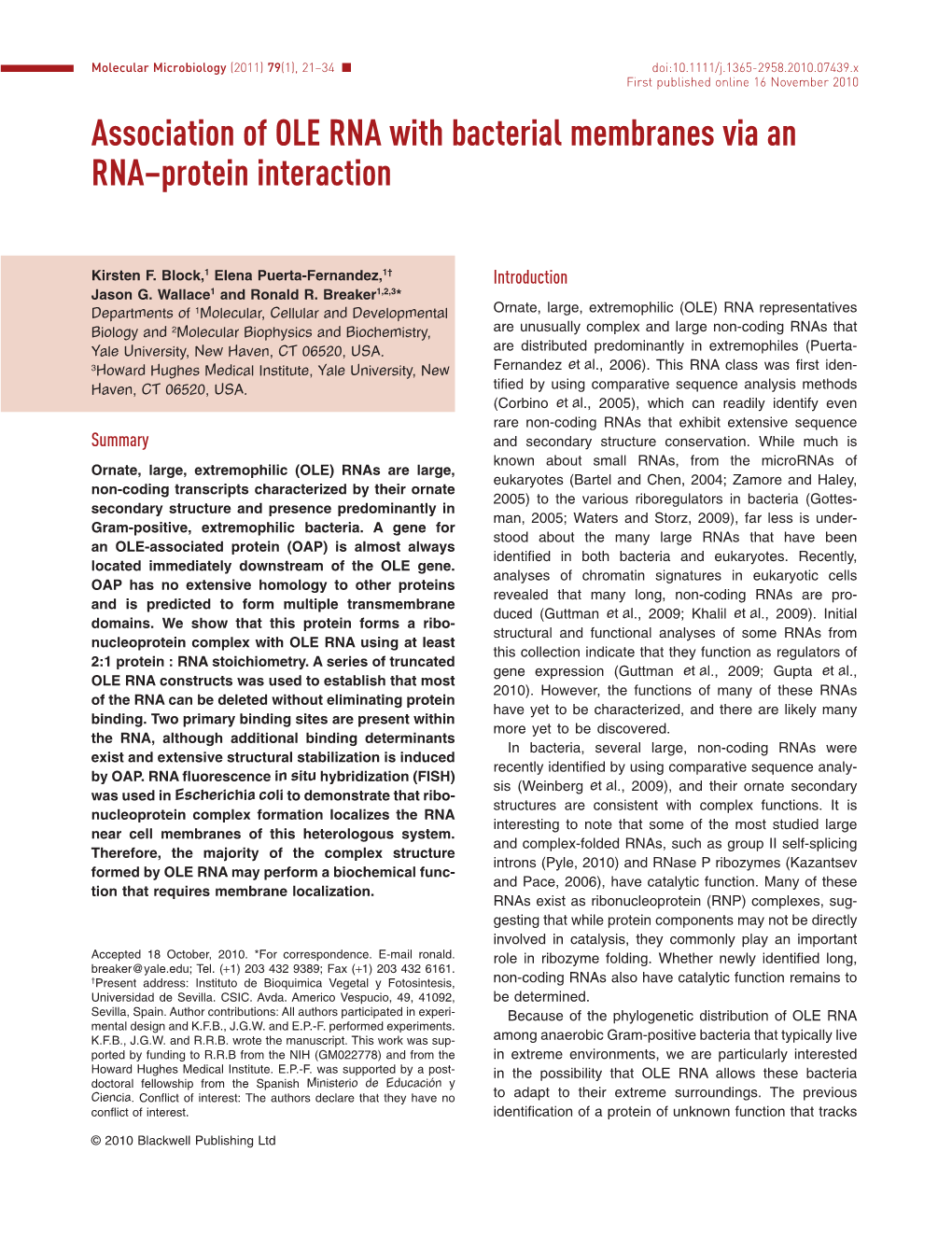 Association of OLE RNA with Bacterial Membranes Via an Rnaprotein