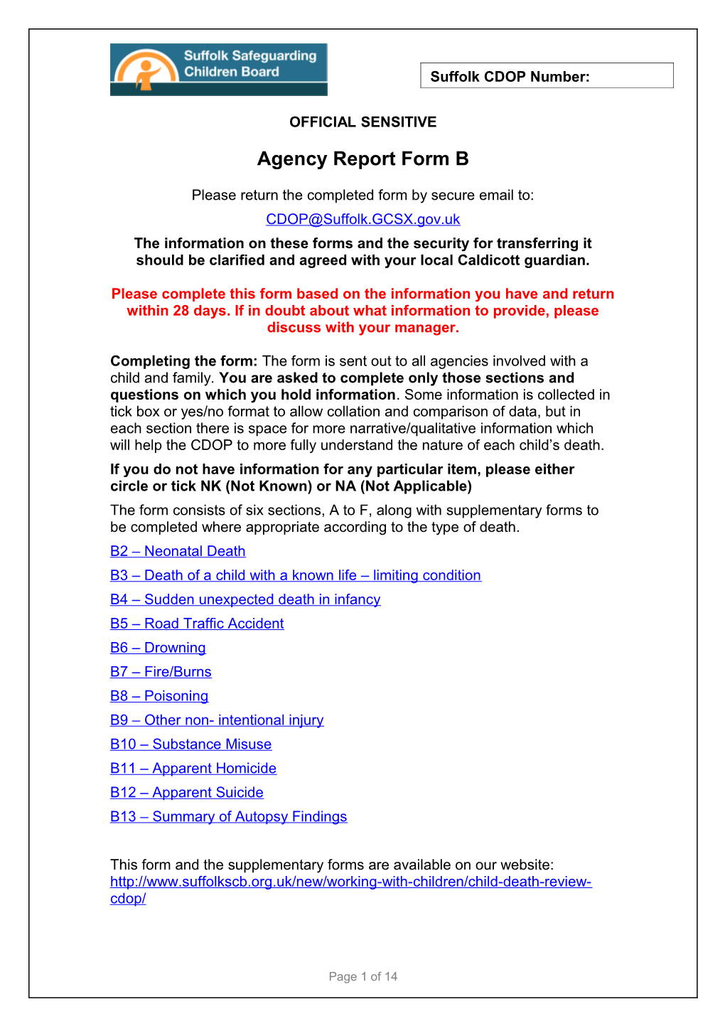 Agency Report Form