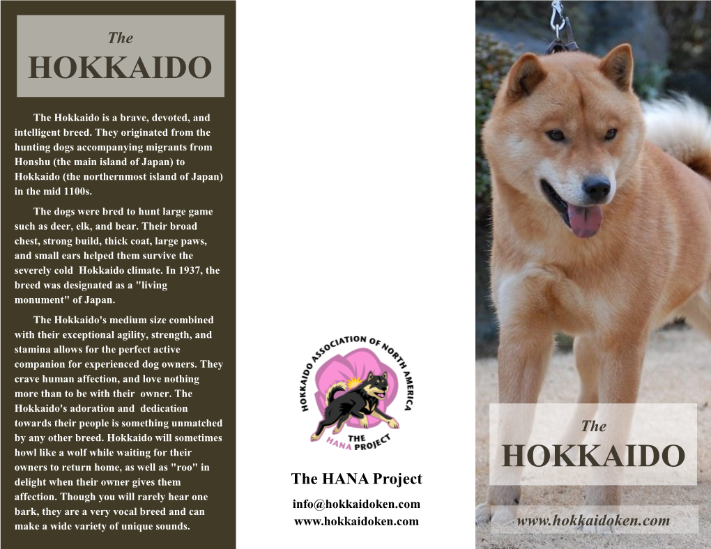 Hokkaido Brochure