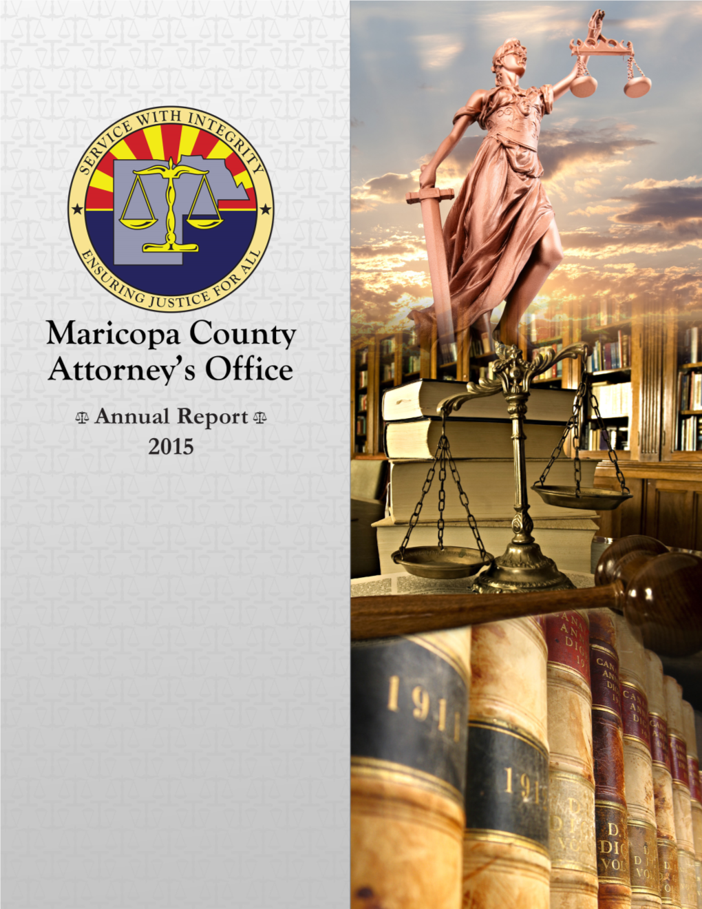 2015 MCAO Annual Report