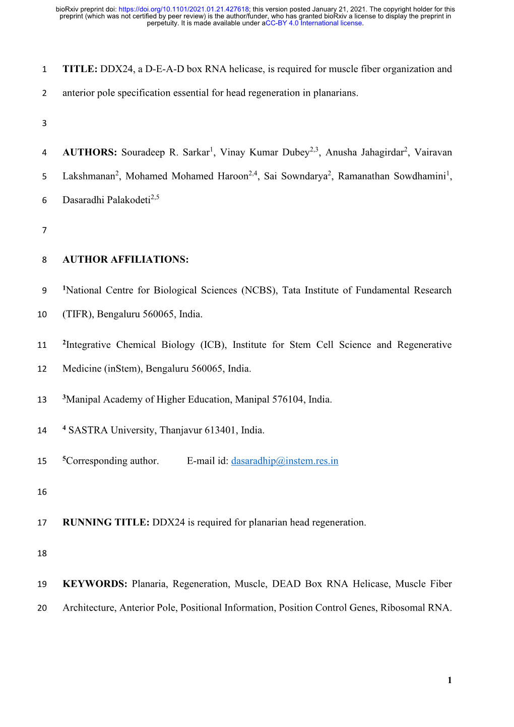 DDX24, a D-E-A-D Box RNA Helicase, Is Required for Muscle Fiber Organization And