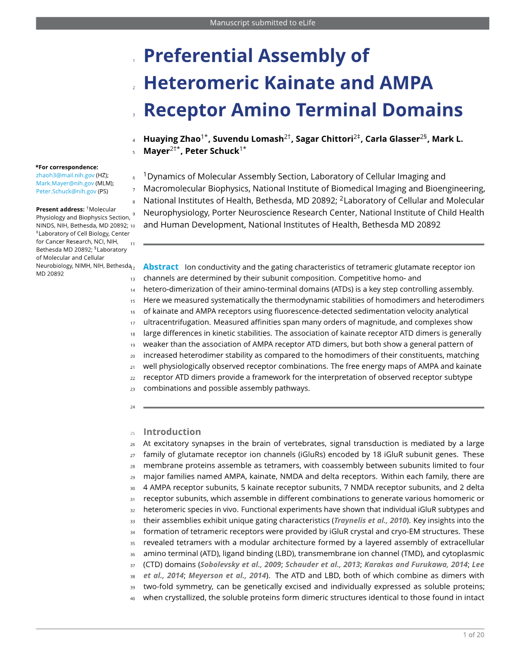 Preferential Assembly of Heteromeric Kainate and AMPA Receptor Amino