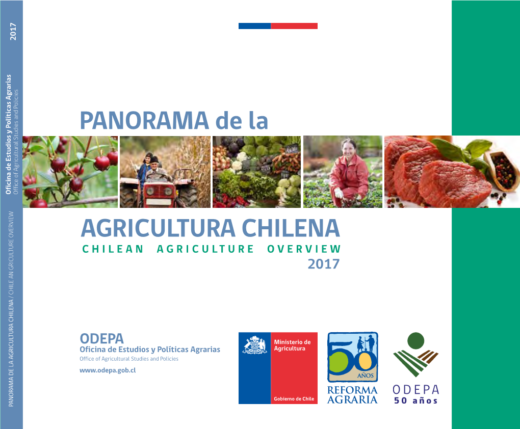 Panorama De La Agricultura Chilena . Chilean Agriculture Overview 2017