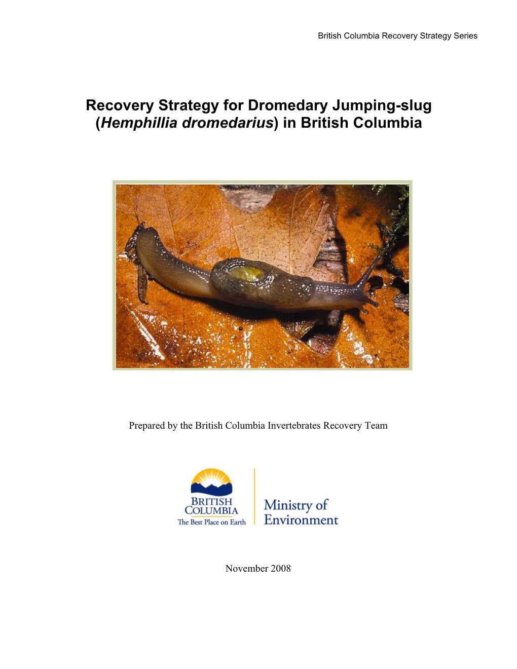Recovery Strategy for Dromedary Jumping-Slug (Hemphillia Dromedarius) in British Columbia