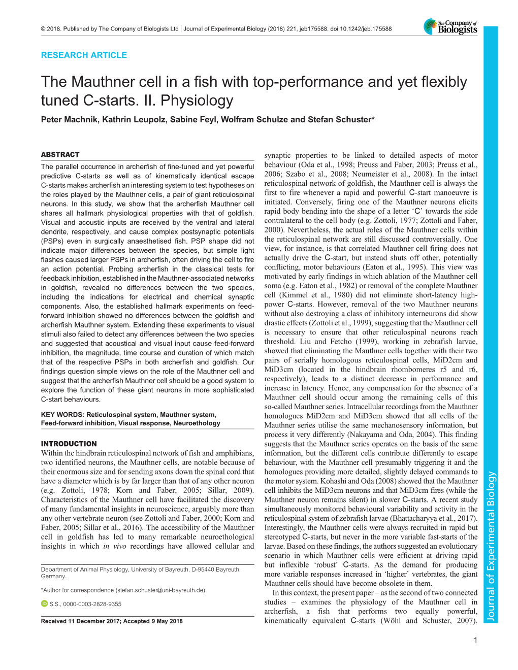 The Mauthner Cell in a Fish with Top-Performance and Yet Flexibly Tuned C-Starts