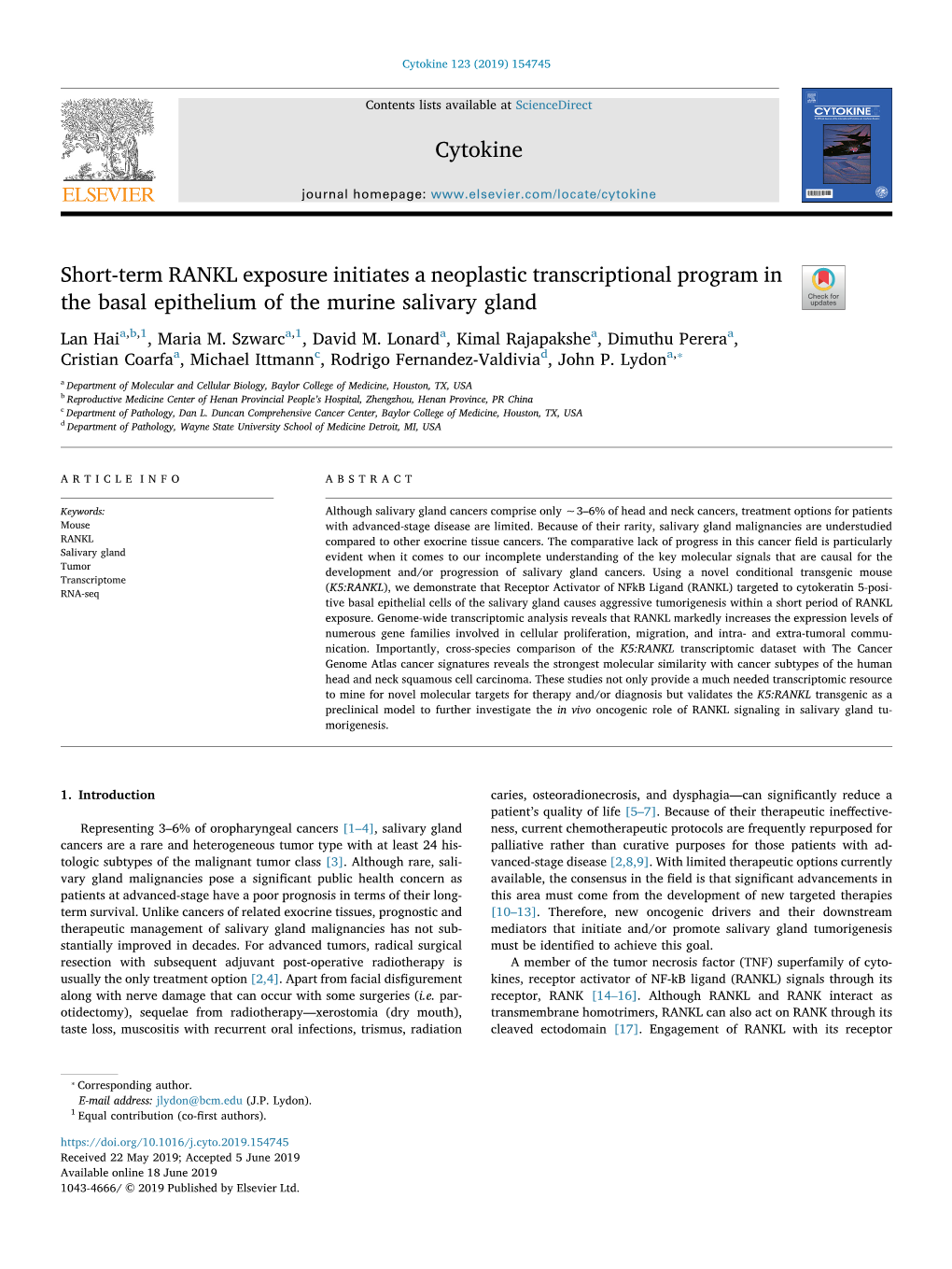 Short-Term RANKL Exposure Initiates a Neoplastic Transcriptional Program in the Basal Epithelium of the Murine Salivary Gland T