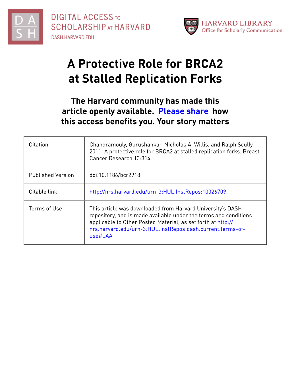 A Protective Role for BRCA2 at Stalled Replication Forks