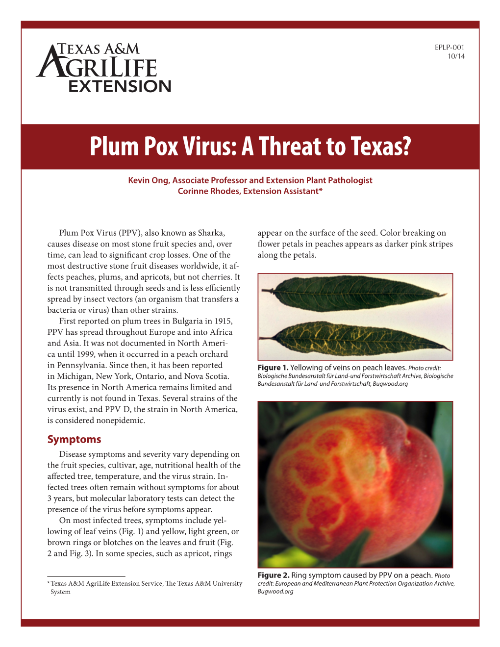 Plum Pox Virus: a Threat to Texas?