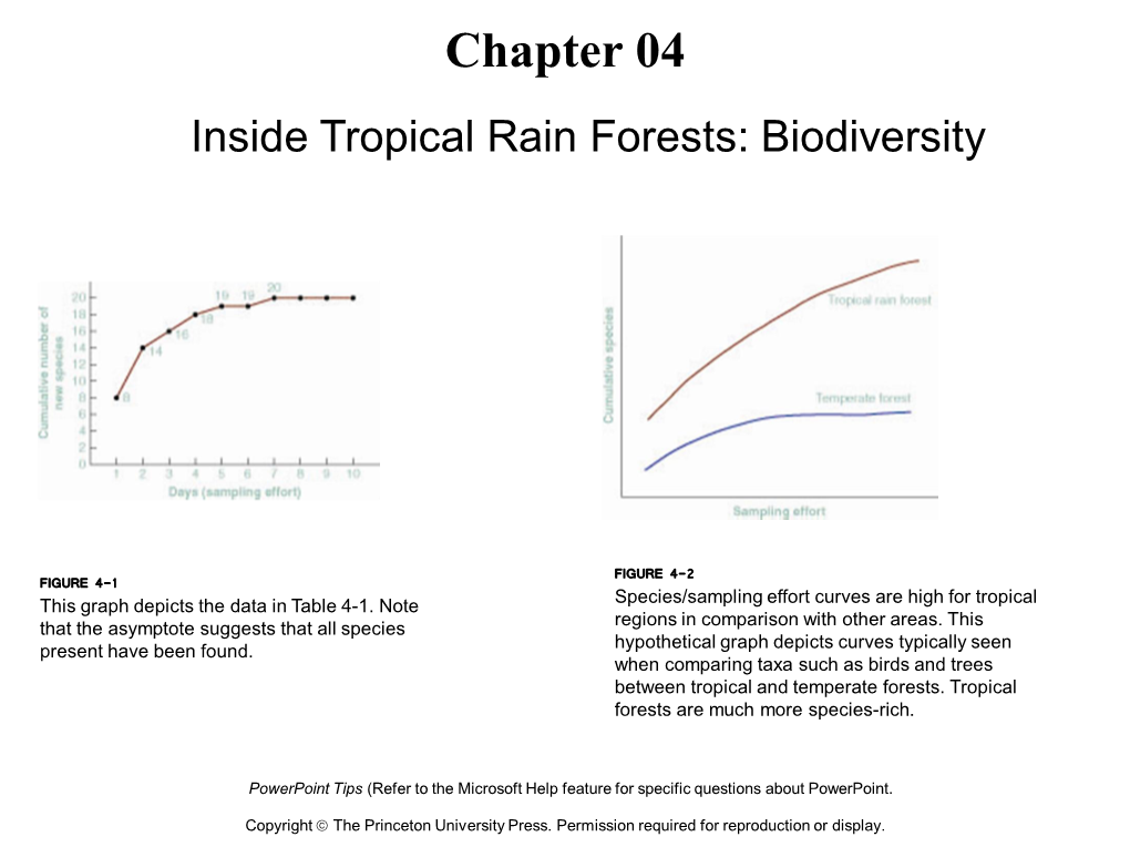 Inside Tropical Rain Forests: Biodiversity