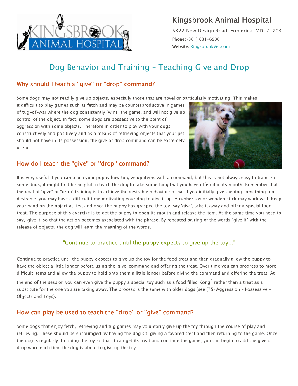 Dog Behavior and Training – Teaching Give and Drop