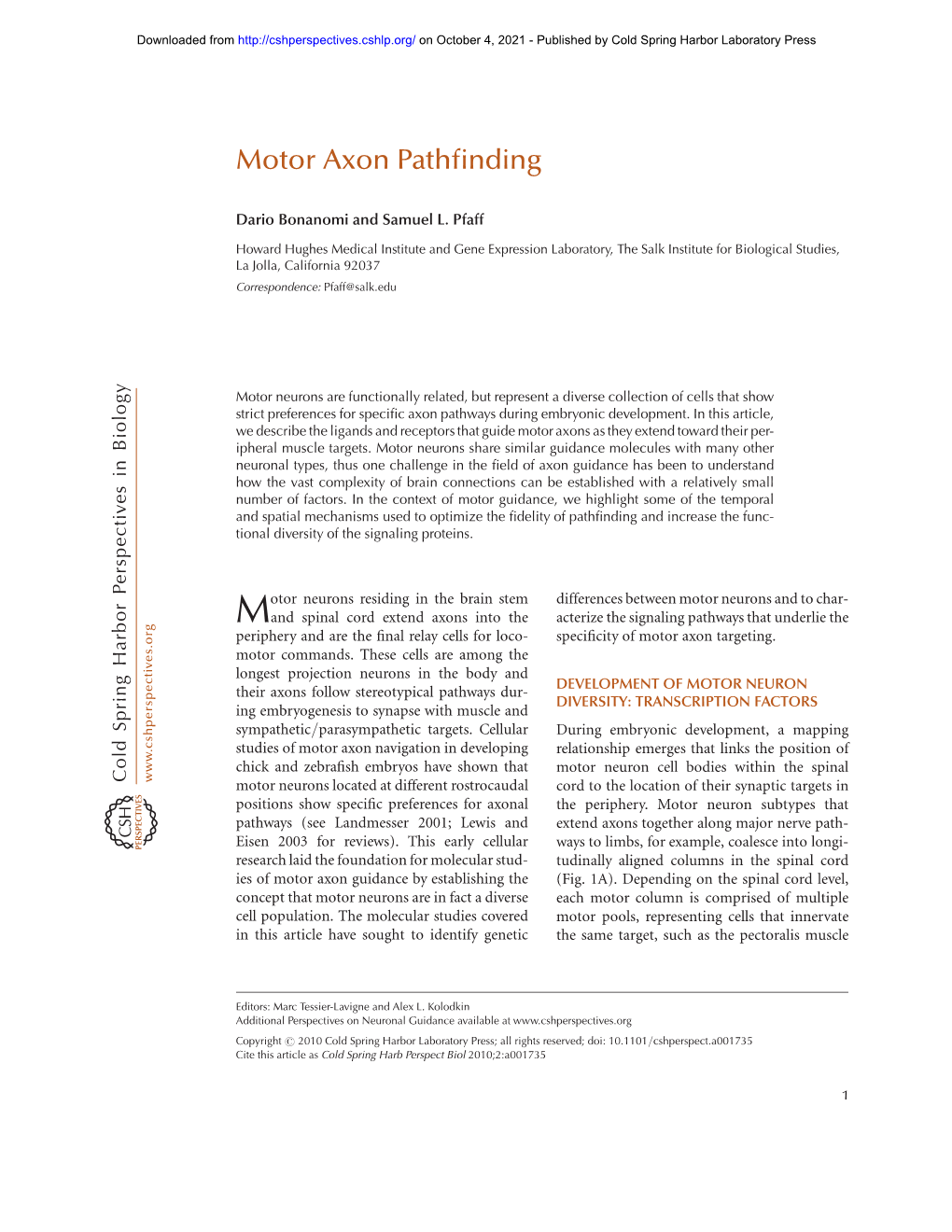 Motor Axon Pathfinding