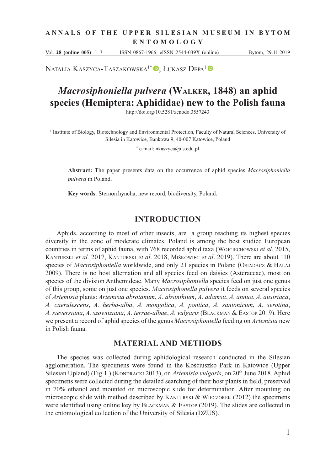 Macrosiphoniella Pulvera (Walker, 1848) an Aphid Species (Hemiptera: Aphididae) New to the Polish Fauna