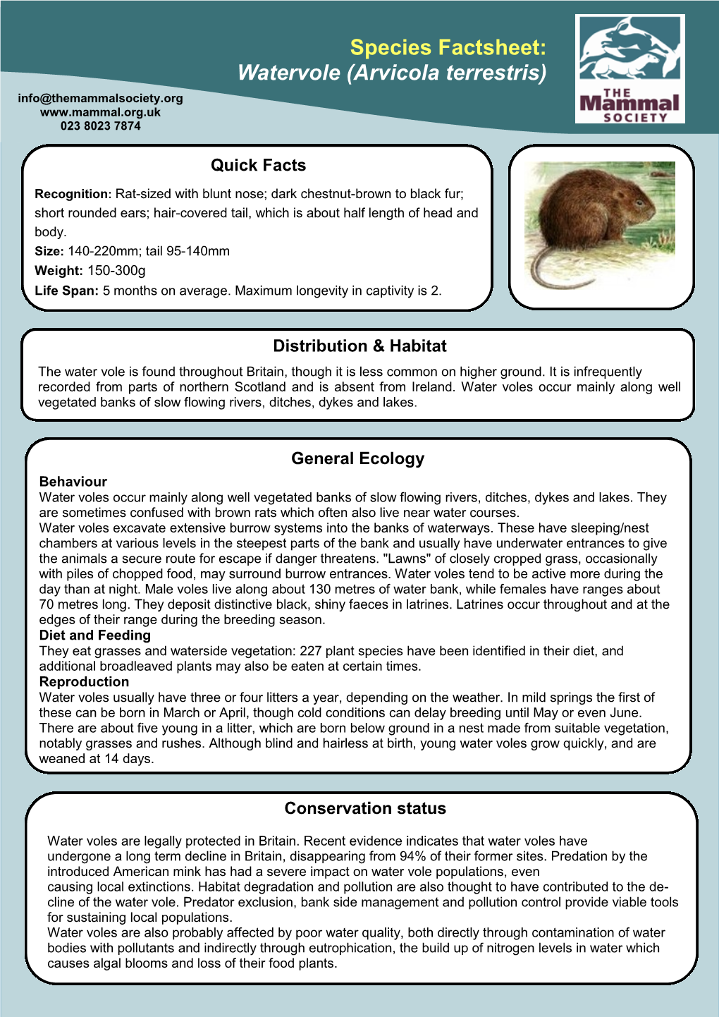 Species Factsheet: Watervole (Arvicola Terrestris) Info@Themammalsociety.Org 023 8023 7874