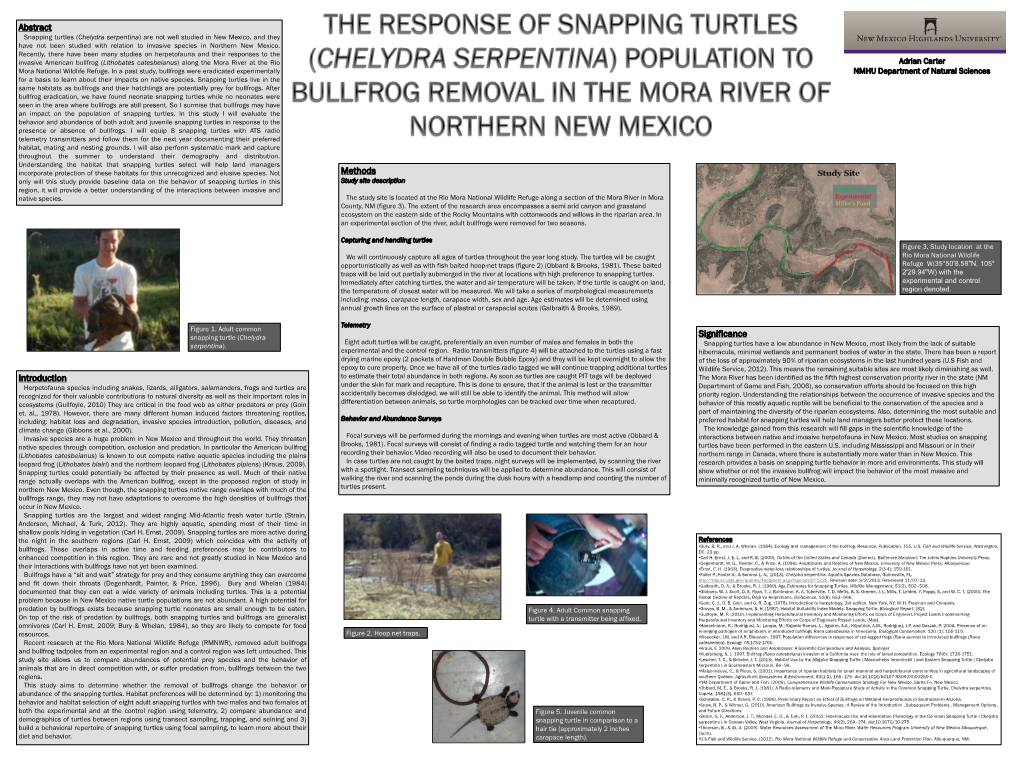 Chelydra Serpentina) Are Not Well Studied in New Mexico, and They Have Not Been Studied with Relation to Invasive Species in Northern New Mexico