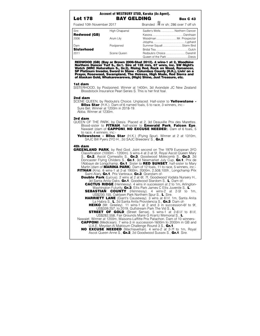 Lot 178 BAY GELDING Box C 43 Foaled 10Th November 2017 Branded : Nr Sh; 286 Over 7 Off Sh