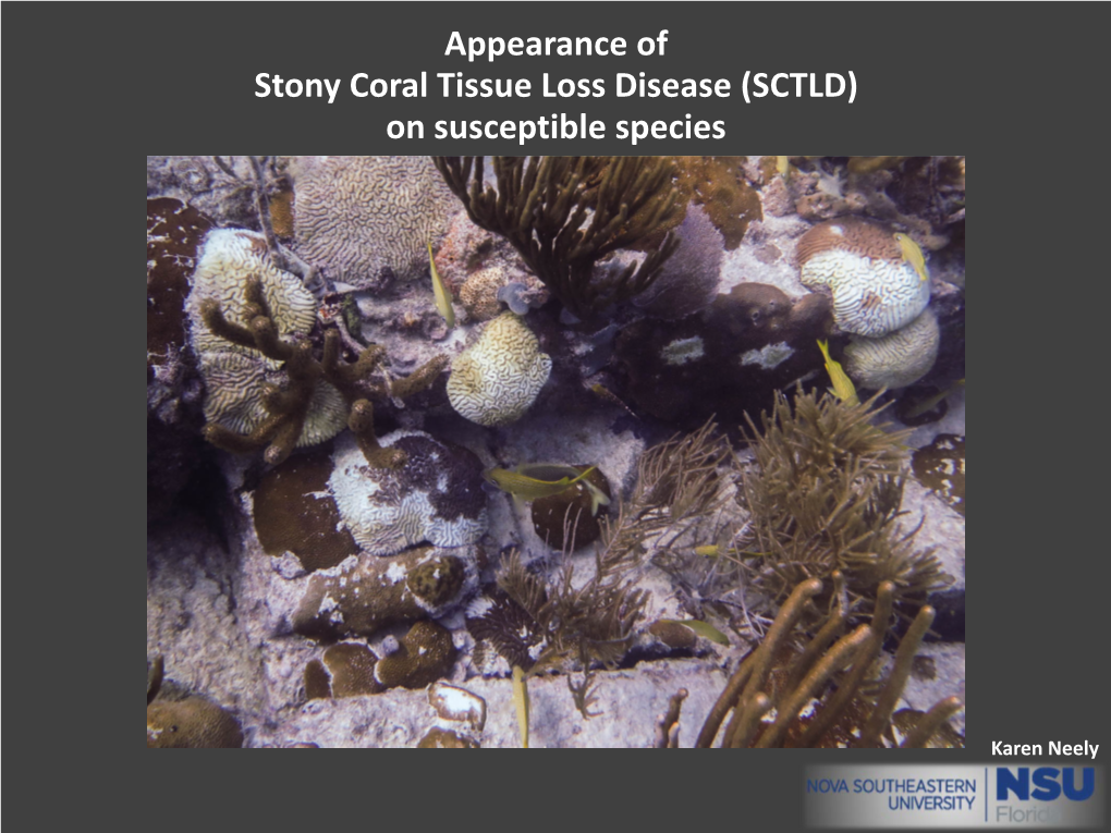 Appearance of Stony Coral Tissue Loss Disease (SCTLD) on Susceptible Species