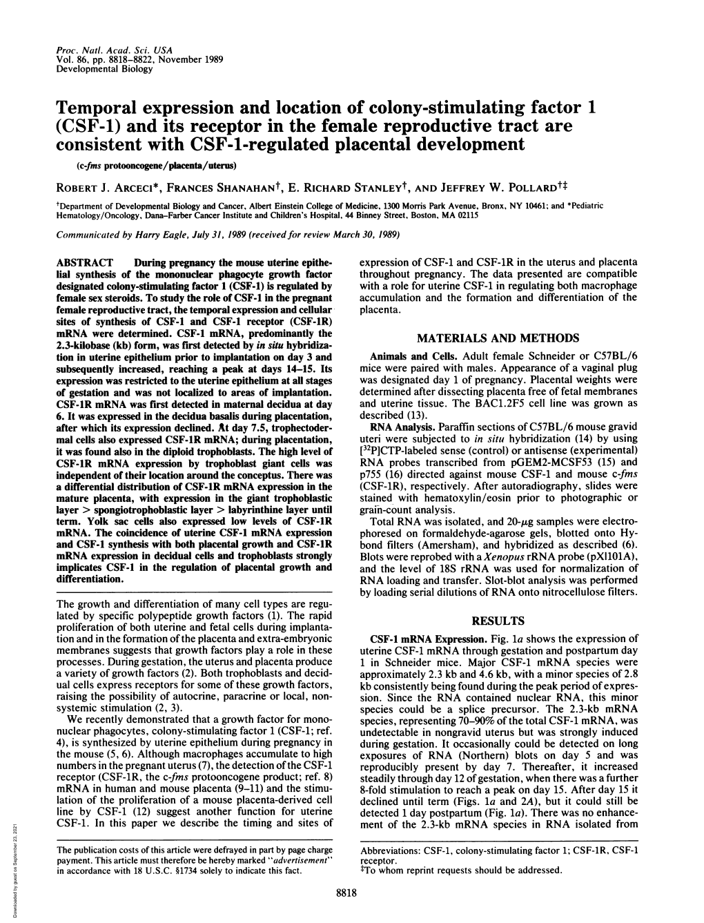 Temporal Expression and Location of Colony-Stimulating Factor 1