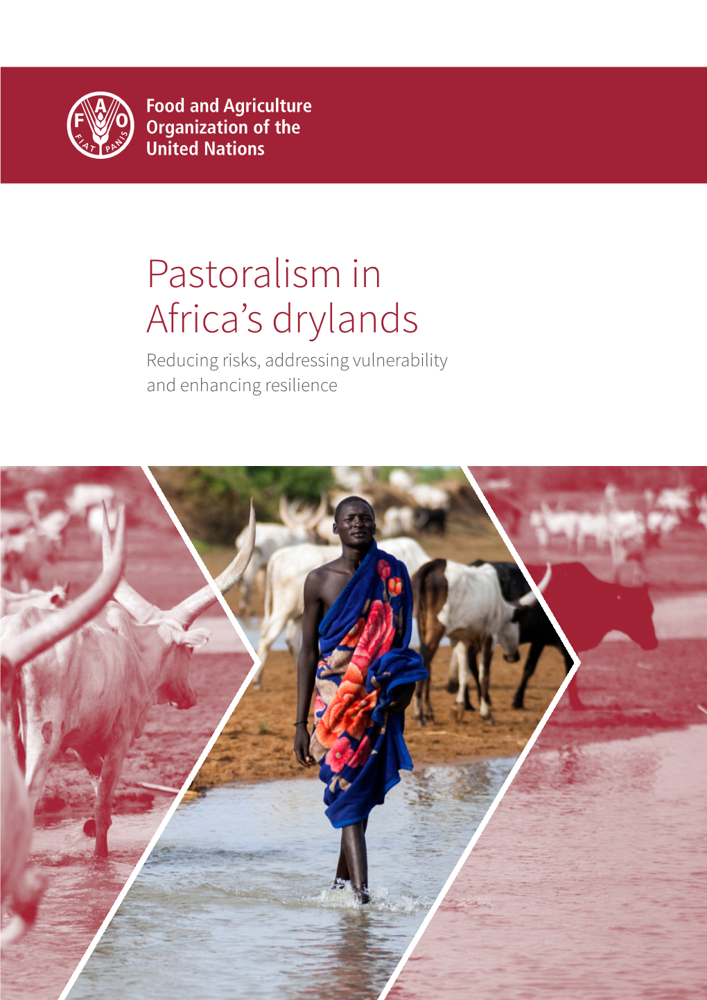 Pastoralism in Africa's Drylands