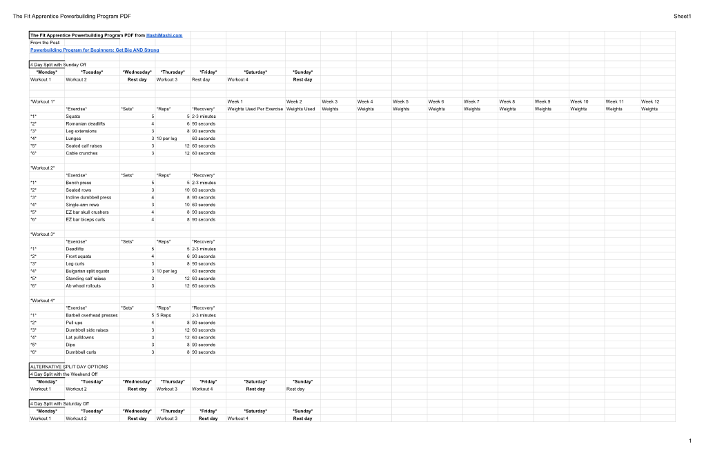 The Fit Apprentice Powerbuilding Program PDF Sheet1