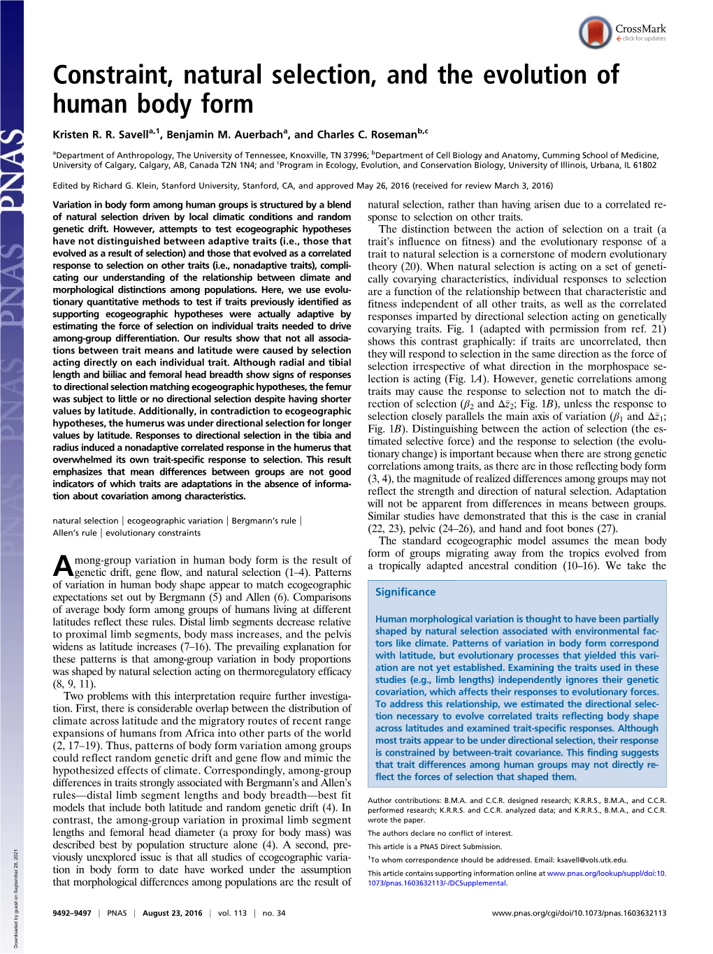 Constraint, Natural Selection, and the Evolution of Human Body Form