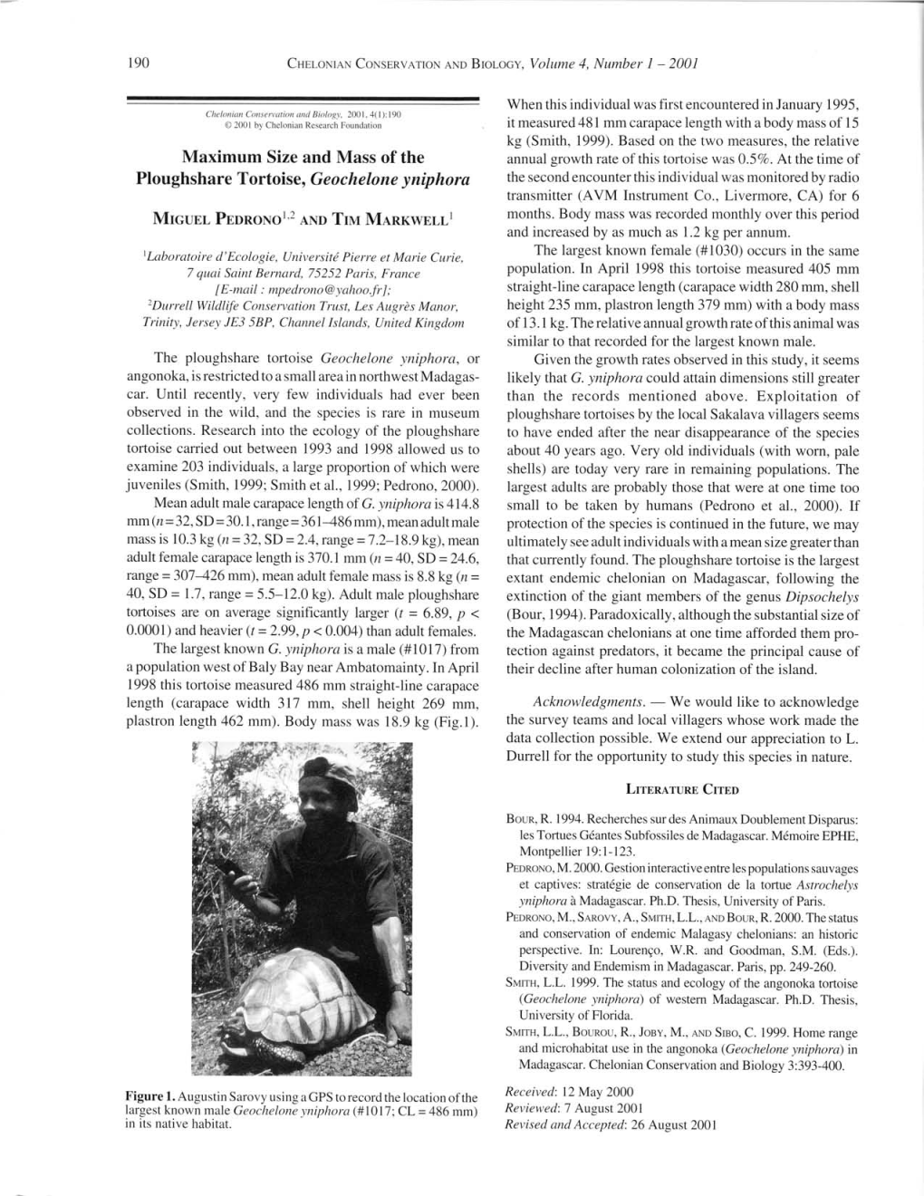 Maximum Size and Mass of the Ploughshare Tortoise, Geochelone