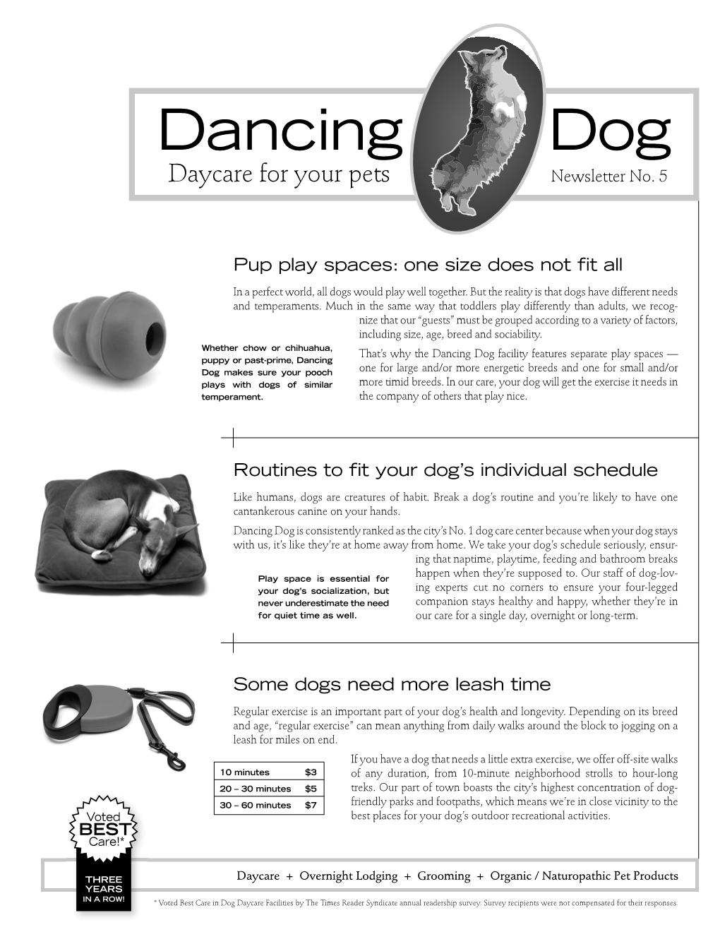 Dancing Dog Daycare for Your Pets Newsletter No