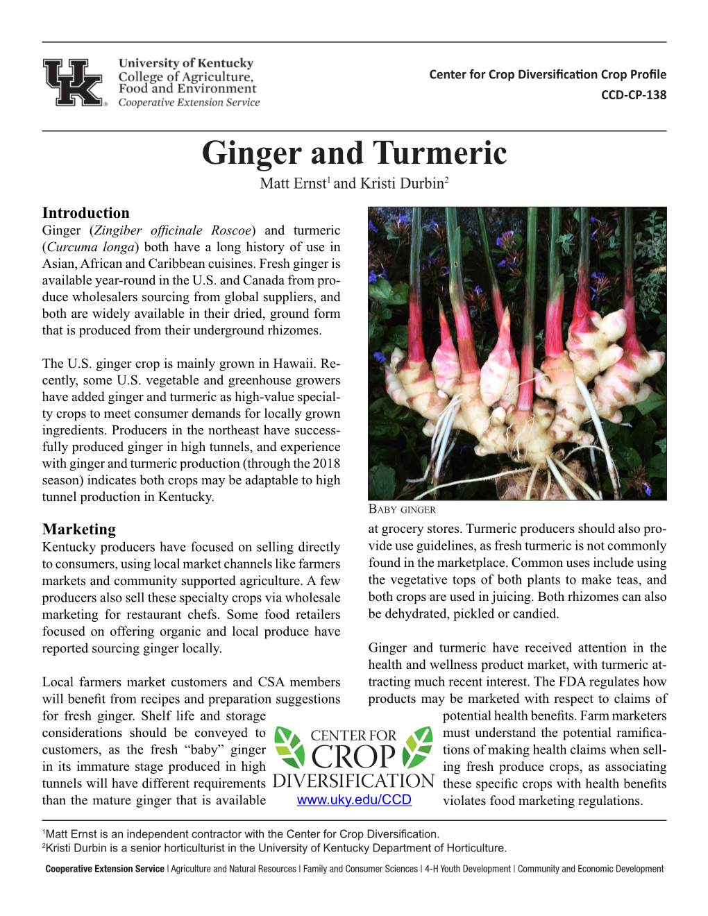 CCD Ginger and Turmeric