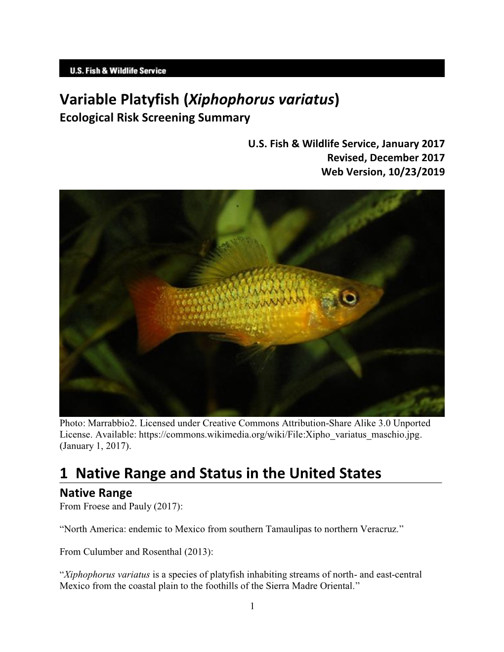 Variable Platyfish (Xiphophorus Variatus) Ecological Risk Screening Summary